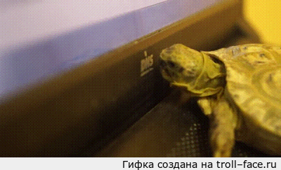 ����� ������ �������.