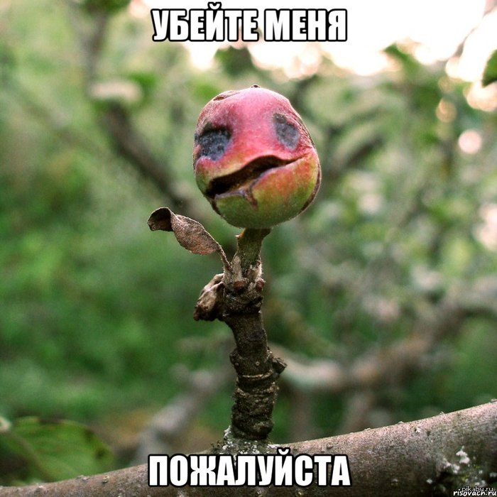 Фруктовая боль