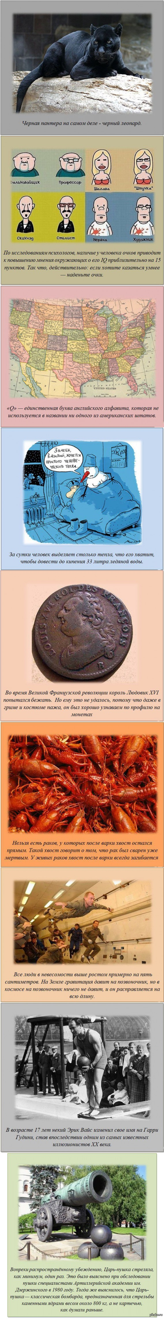 Занимательные факты