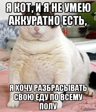 И так всегда