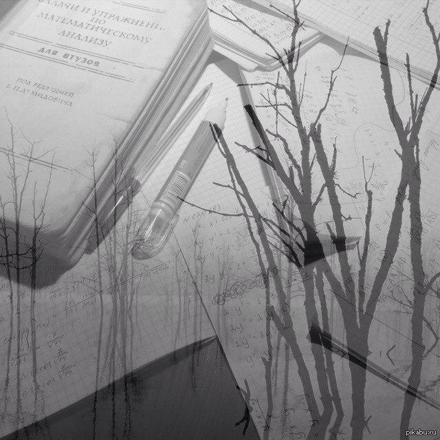 ������� ��������