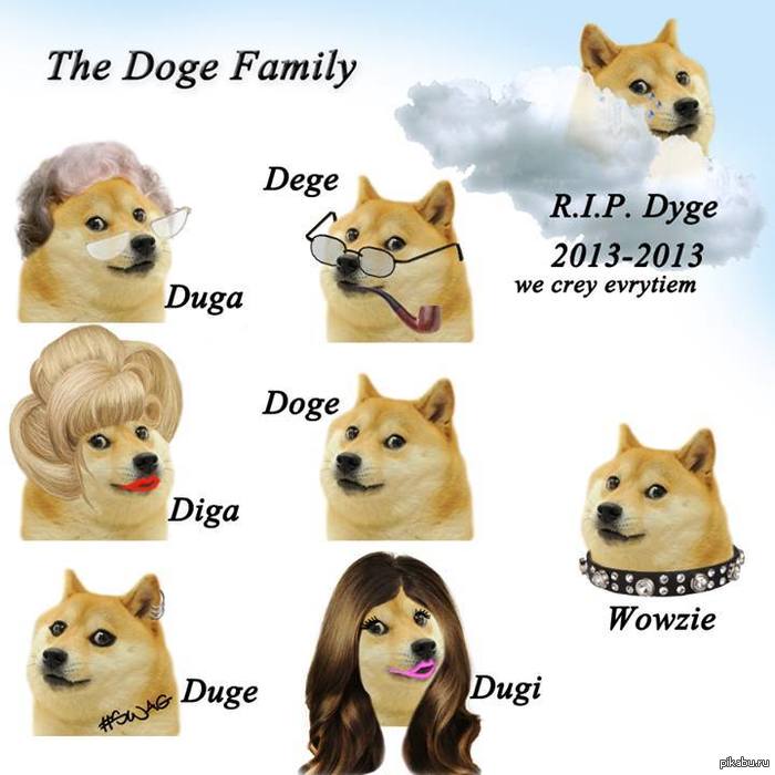 The Doge Family 