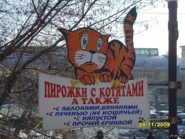 Кот с чебуреком. Чебурек с котятами. Чебуреки из котят. Фото котенка с чебуреком.