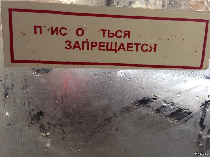 Forbidden!!! - NSFW, My, Bus, Moscow, Warning