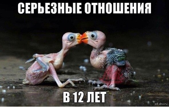 ��� �� ��� � ���� ��� �����������.