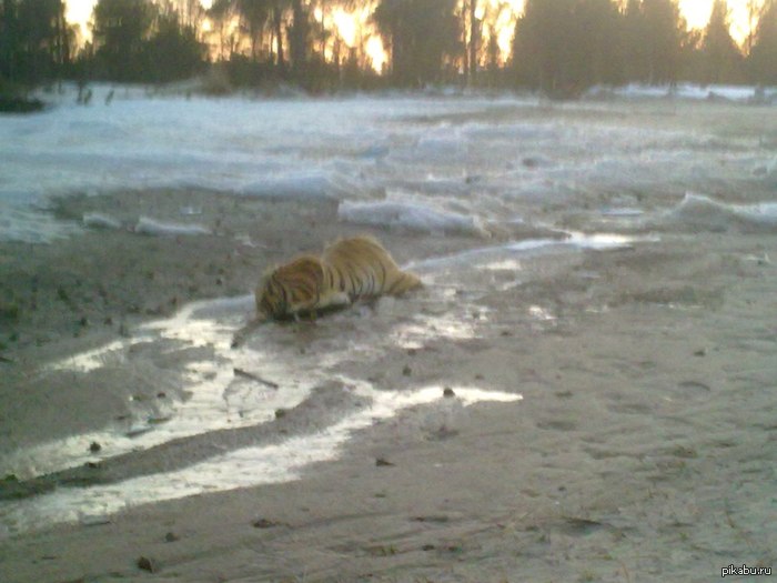 ���� � �����