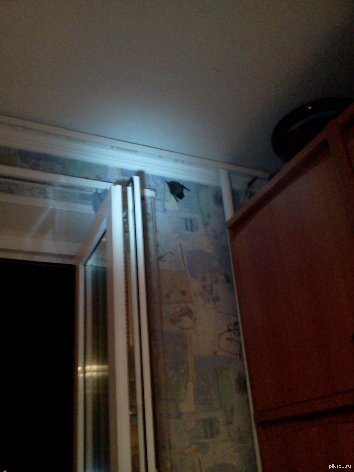 Трепет в ночи