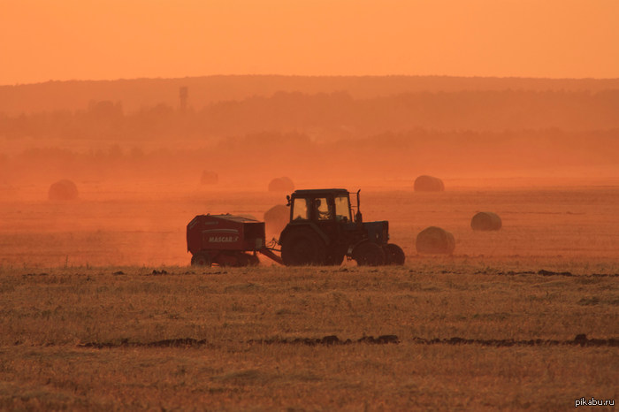 ������ �������