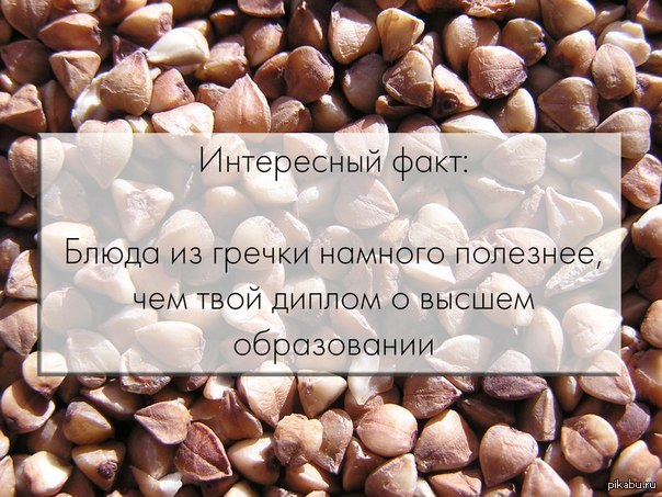 Правда | Пикабу