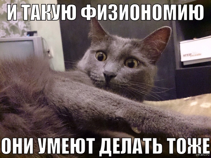 � �������� �����������