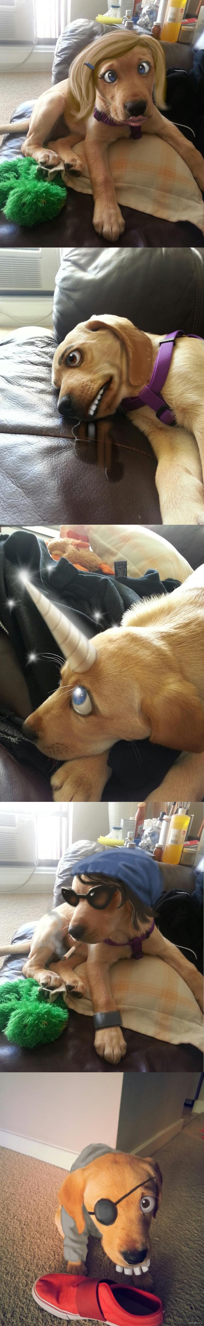 Когда дома нечего делать..