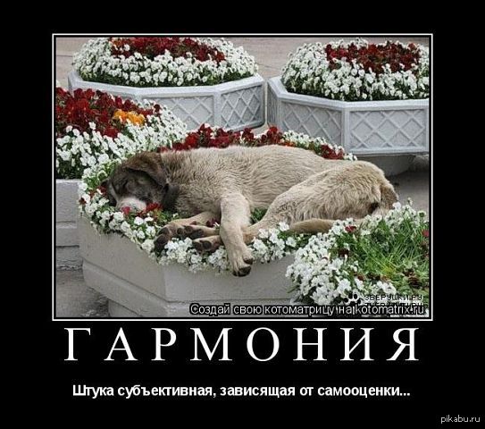 &quot;  : ,      .&quot;  