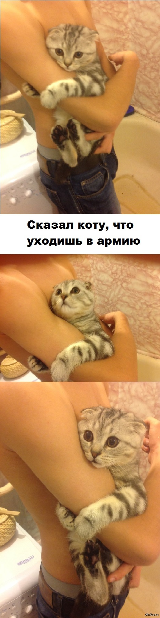 ������ ����, ��� ������� � �����