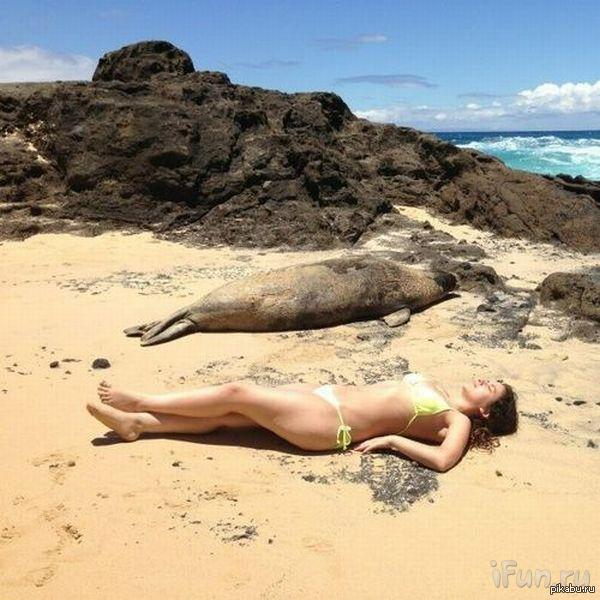 � ����� ��.