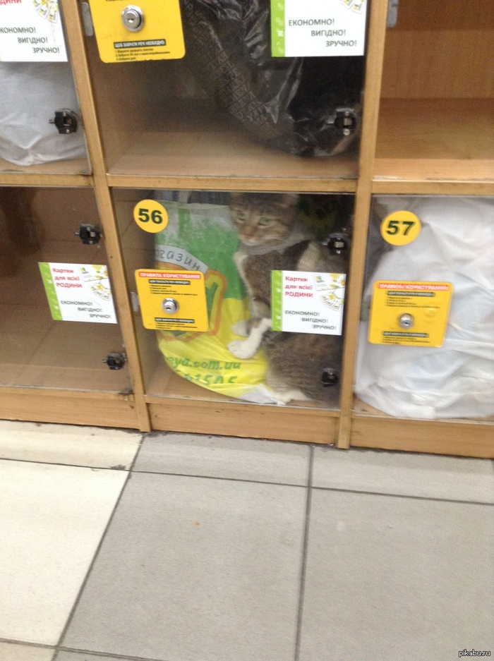 ������� �� ������...)))