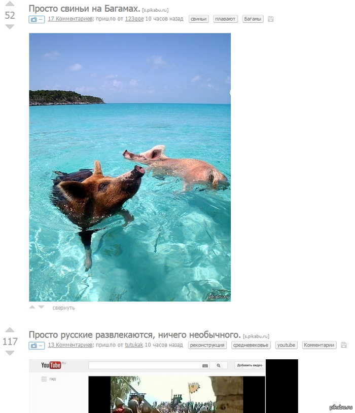 ����������?