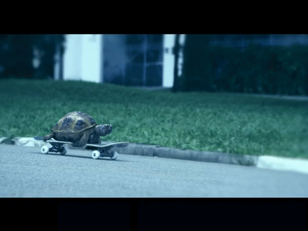 ����� ��������.