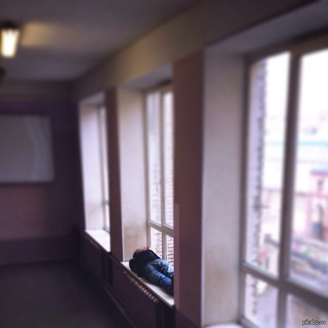 � ���� �������� ����� ���...