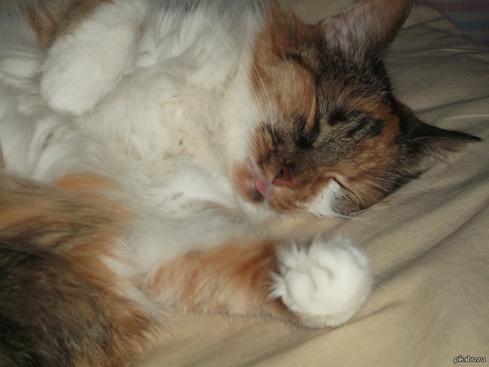 � ��� ��������� �� ������� ������...