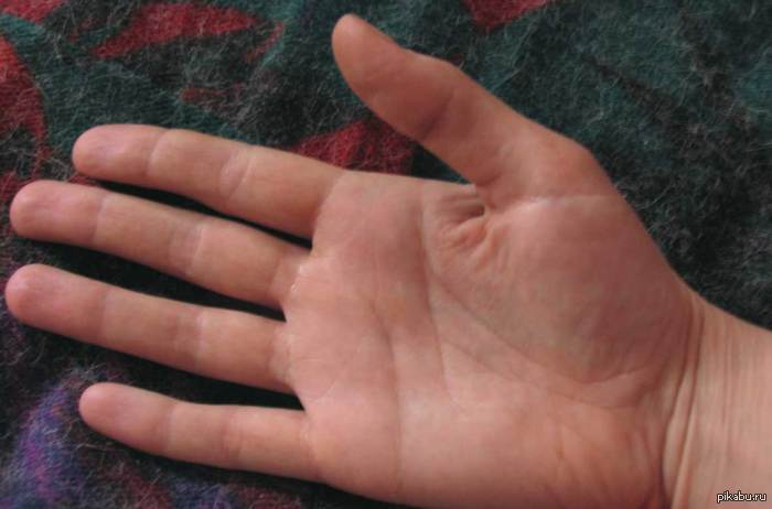 ���������� ���� ������� � ���� ��������!