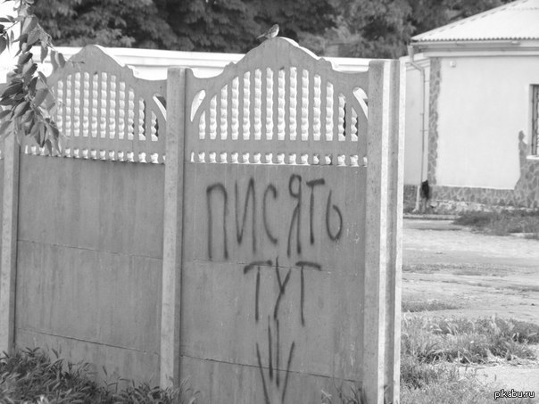 Туалет | Пикабу