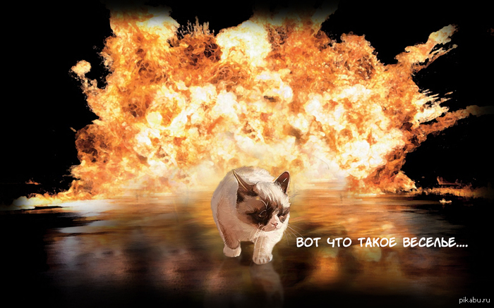 Настоящее веселье...