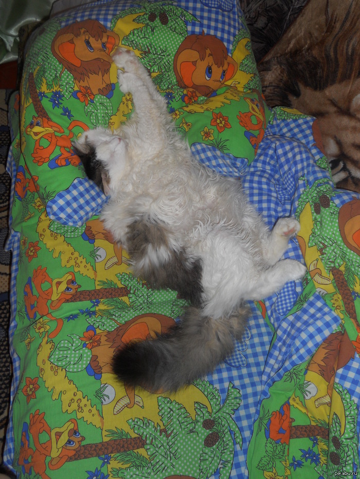 ��� ���:�