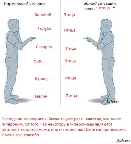 Гиперо гипонимическая группа пример