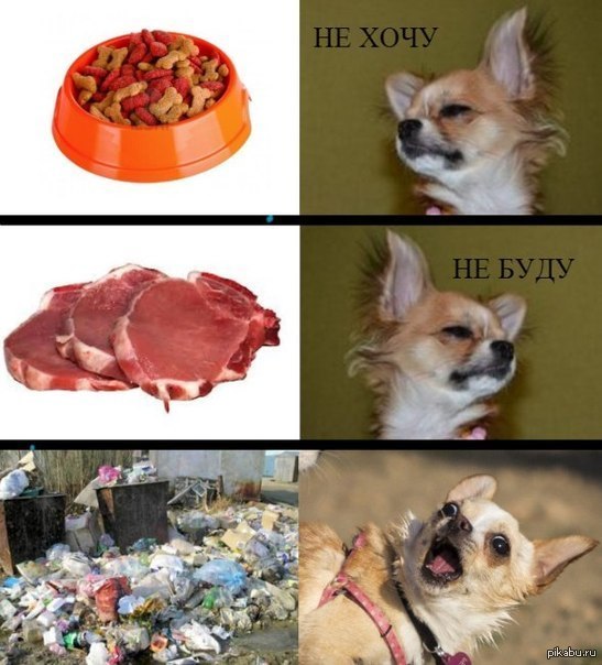 Не хочу не буду прикол картинка