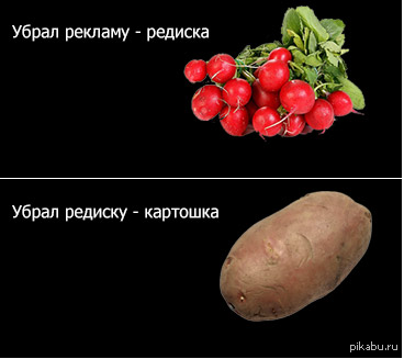 Редиска нехороший человек картинки