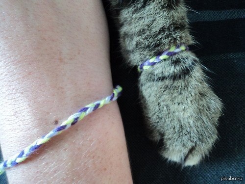 ����� ���- ���� ������������ ���� )