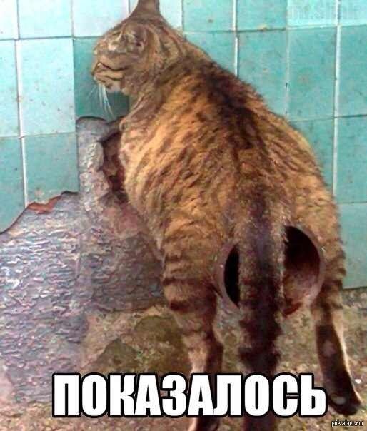 )