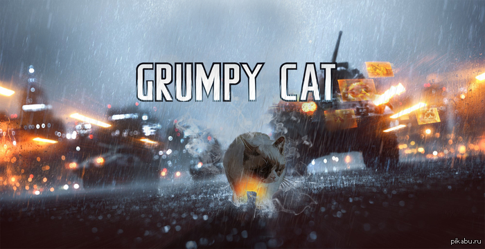 Сердитый кот