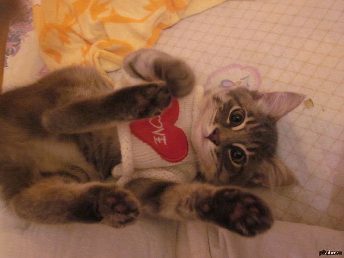 �������� �� ������