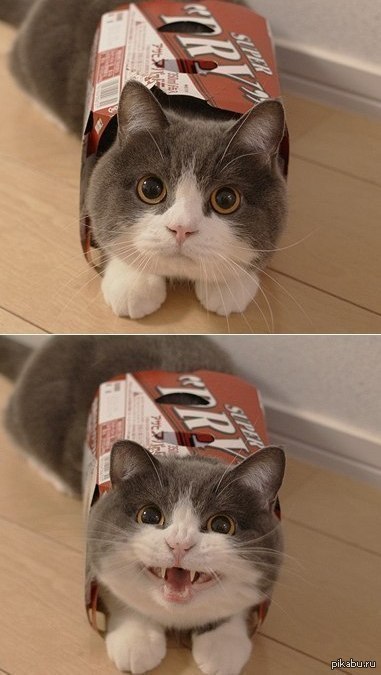 "����� �������� ������ � ���� �����"