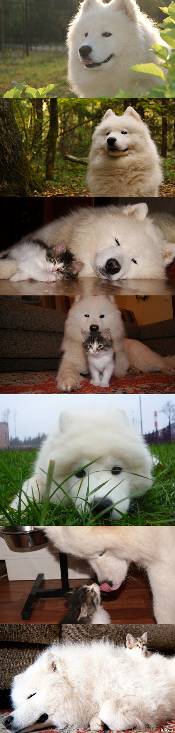 ���������� ������!