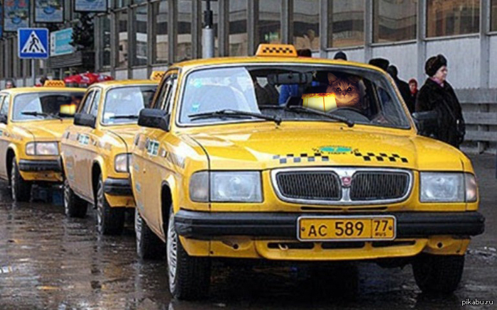 �� �� ������