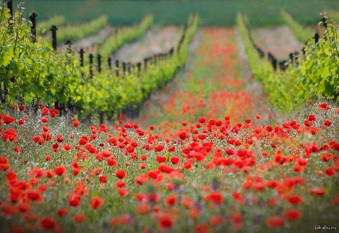 ���� � ������������