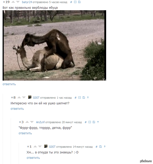 ����������� �� ������