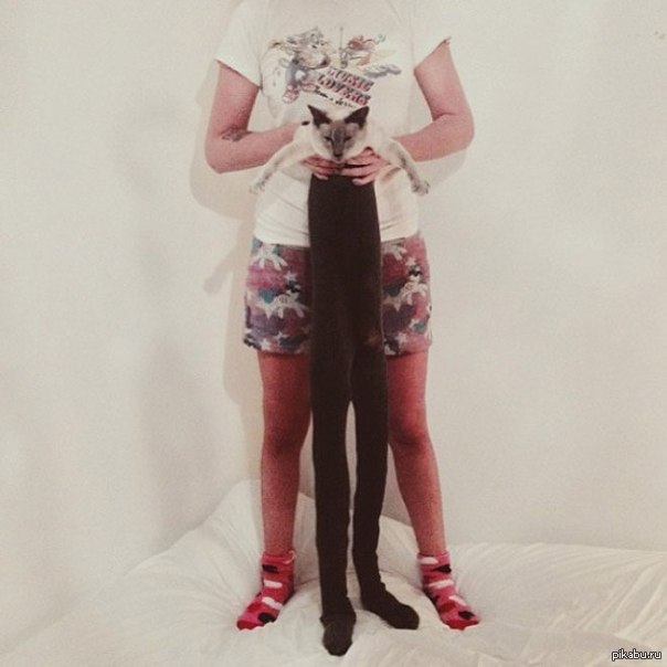 ���� � ��������� )