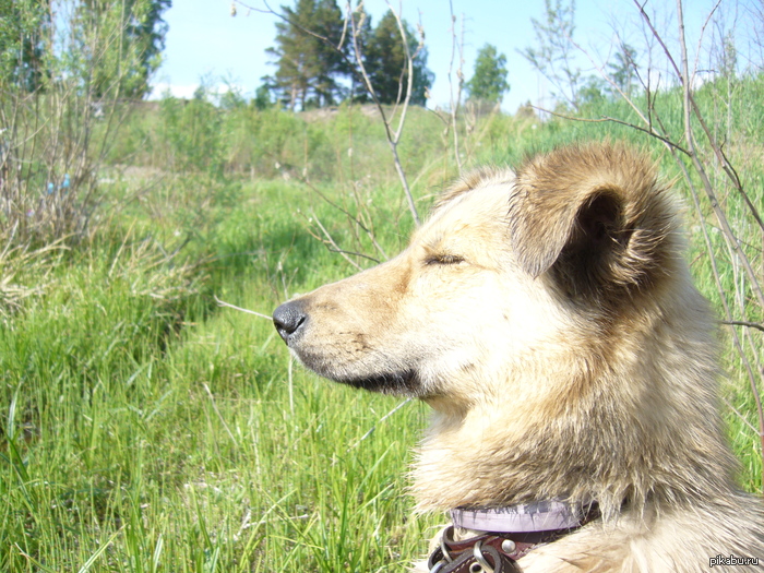 ������-��������.