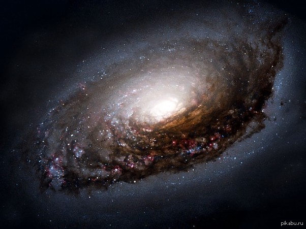       (NGC 4826).     .      .    - ,          .