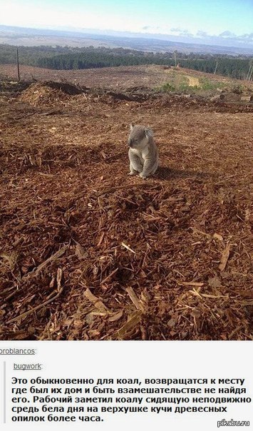 Вот, что такое безысходность