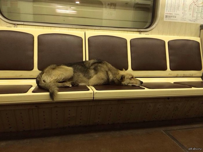 Да мне наплевать на ваши 8 утра в будни