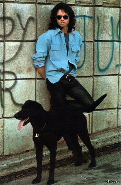 закажу принт на стену