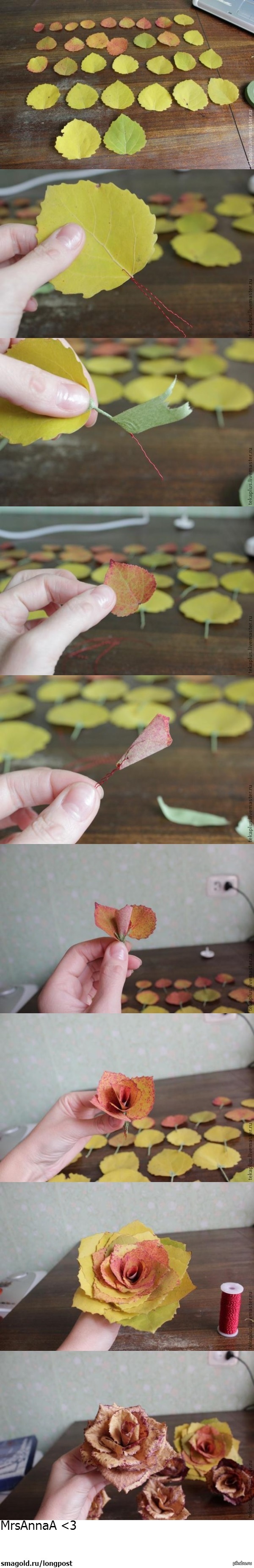 How to make a rose from leaves - Longpost, Crafts, Leaves, the Rose