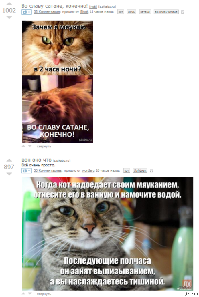 Совпало | Пикабу