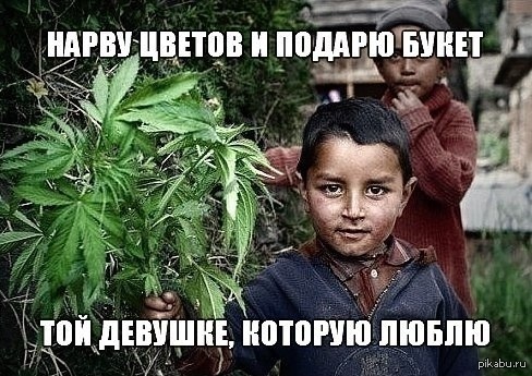 Я подарю тебе я научу тебя смеяться. Нарву цветов и подарю букет той. Я подарю тебе букет я научу тебя смеяться картинка. Плакала осина, только канопля ржала. Подарю букет научу смеяться.