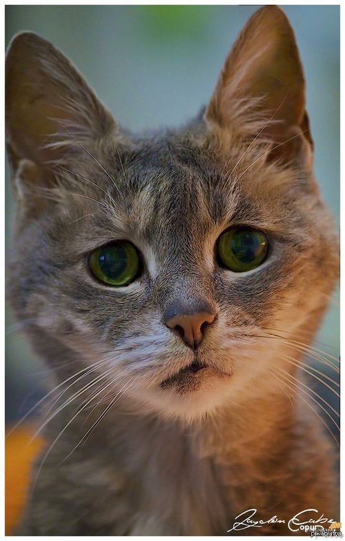 ,       - .    ,    .