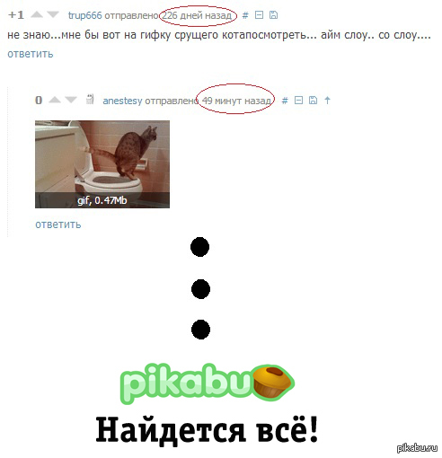 Спустя 226 дней.